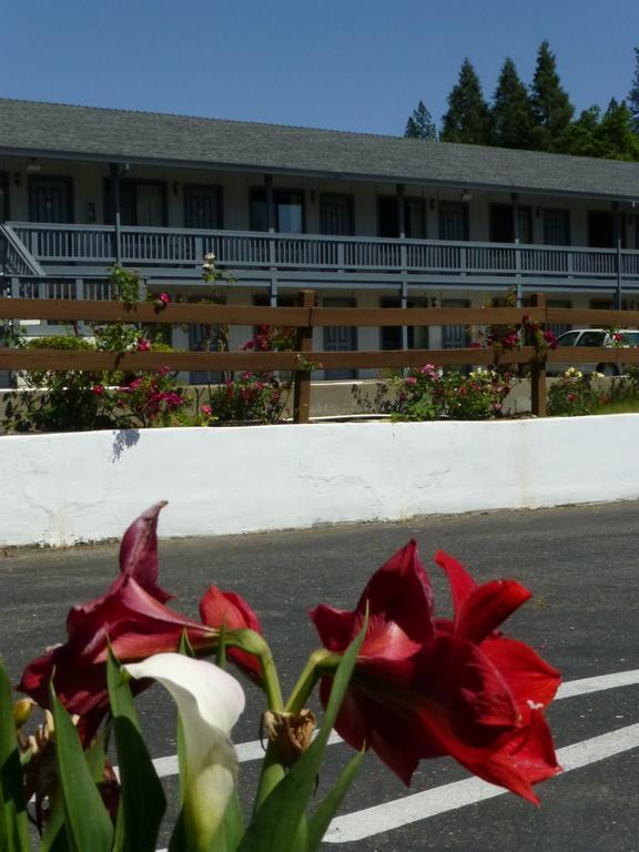 بليسرفيل Gold Country Inn المظهر الخارجي الصورة